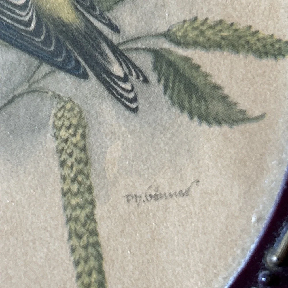Vintage Bird Prints Goldfinch Oval Thistle Grandma Core P.H Gonner 1960's